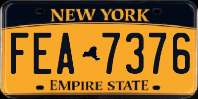 NY license plate FEA7376