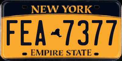 NY license plate FEA7377