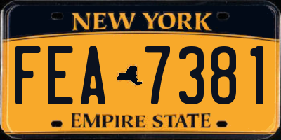 NY license plate FEA7381