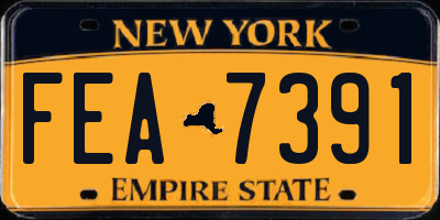 NY license plate FEA7391