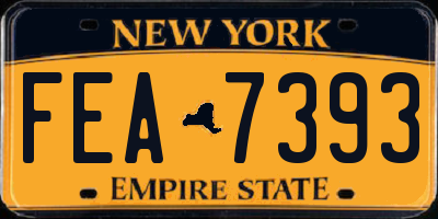 NY license plate FEA7393