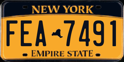 NY license plate FEA7491