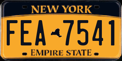 NY license plate FEA7541