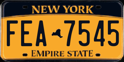 NY license plate FEA7545