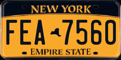 NY license plate FEA7560