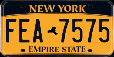 NY license plate FEA7575