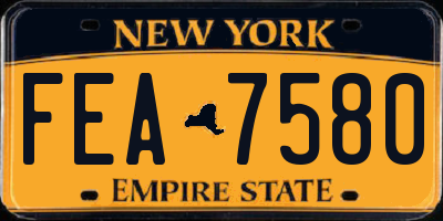 NY license plate FEA7580