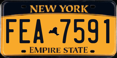 NY license plate FEA7591