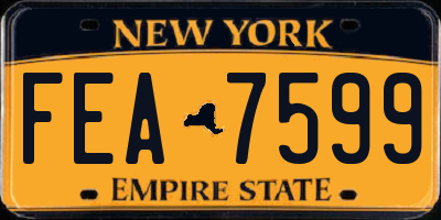 NY license plate FEA7599