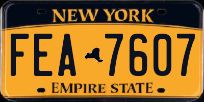 NY license plate FEA7607