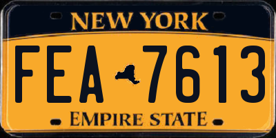 NY license plate FEA7613