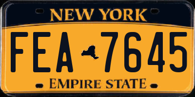 NY license plate FEA7645