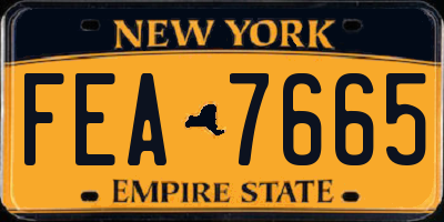 NY license plate FEA7665