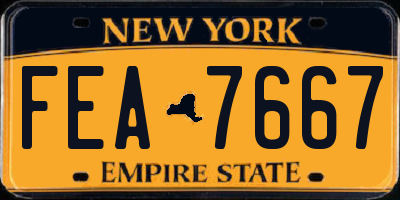 NY license plate FEA7667