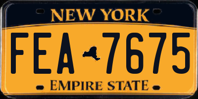 NY license plate FEA7675