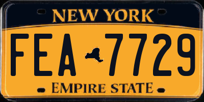 NY license plate FEA7729