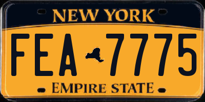NY license plate FEA7775