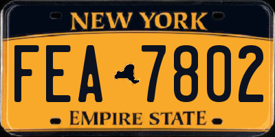 NY license plate FEA7802