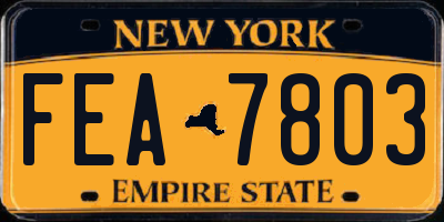 NY license plate FEA7803