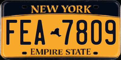 NY license plate FEA7809