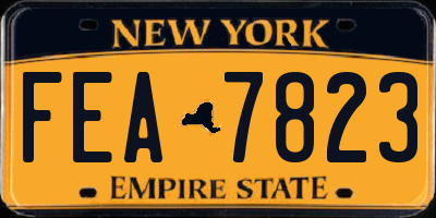 NY license plate FEA7823