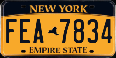 NY license plate FEA7834