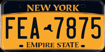 NY license plate FEA7875