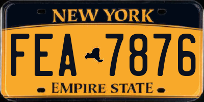 NY license plate FEA7876
