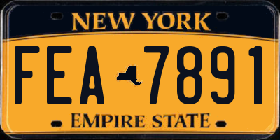 NY license plate FEA7891