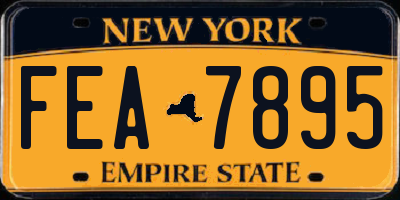 NY license plate FEA7895