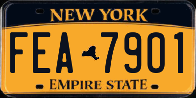 NY license plate FEA7901