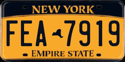 NY license plate FEA7919