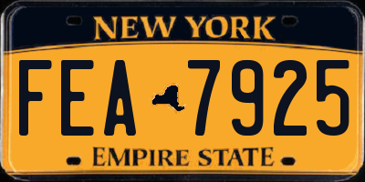 NY license plate FEA7925