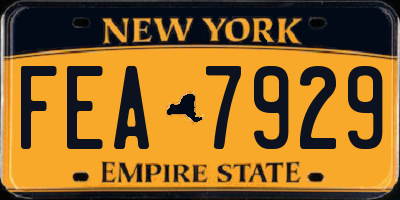 NY license plate FEA7929