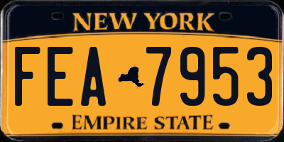 NY license plate FEA7953