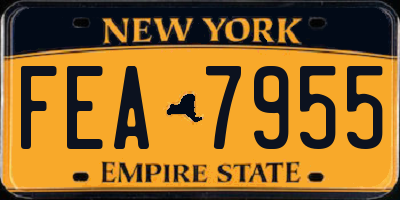 NY license plate FEA7955