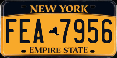 NY license plate FEA7956