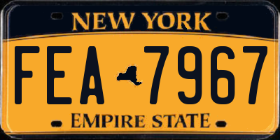 NY license plate FEA7967