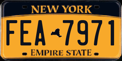 NY license plate FEA7971
