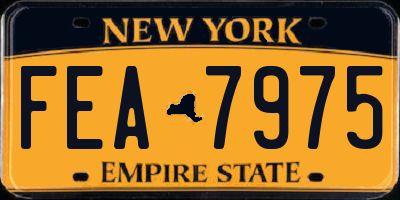 NY license plate FEA7975
