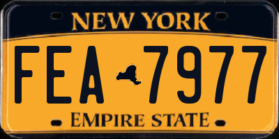 NY license plate FEA7977