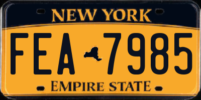 NY license plate FEA7985