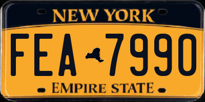 NY license plate FEA7990