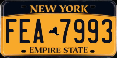 NY license plate FEA7993