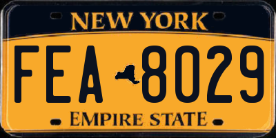 NY license plate FEA8029