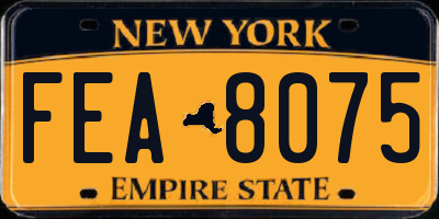 NY license plate FEA8075