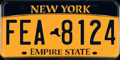 NY license plate FEA8124