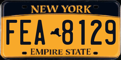 NY license plate FEA8129