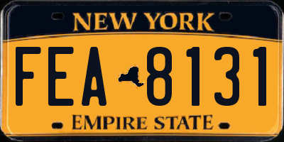 NY license plate FEA8131