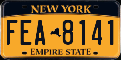 NY license plate FEA8141